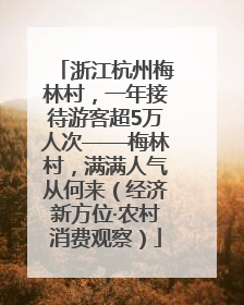 浙江杭州梅林村，一年接待游客超5万人次——梅林村，满满人气从何来（经济新方位·农村消费观察）